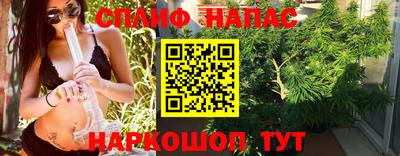 гашик Славгород