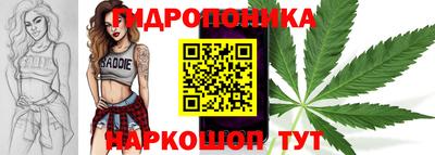 гашик Славгород