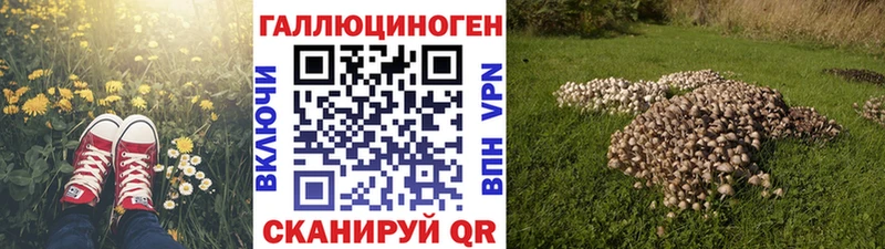 даркнет наркотические препараты  MEGA сайт  Похвистнево  Псилоцибиновые грибы Psilocybine cubensis 