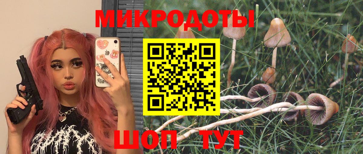купить   Вход с VPN  Похвистнево  Галлюциногенные грибы Psilocybine cubensis 