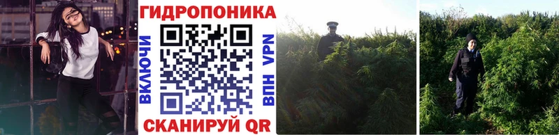 Шишки марихуана план  Похвистнево 